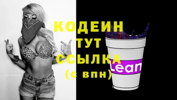 молекула духа Карпинск