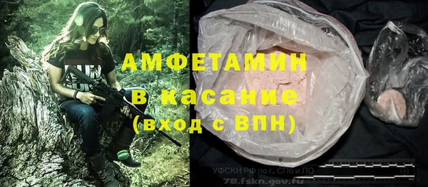 молекула духа Карпинск