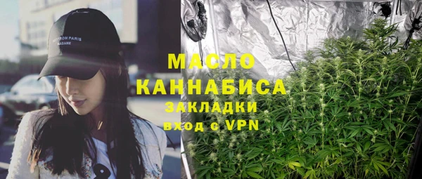 молекула духа Карпинск