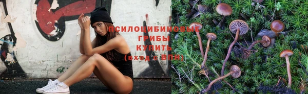 синтетический гашиш Касимов